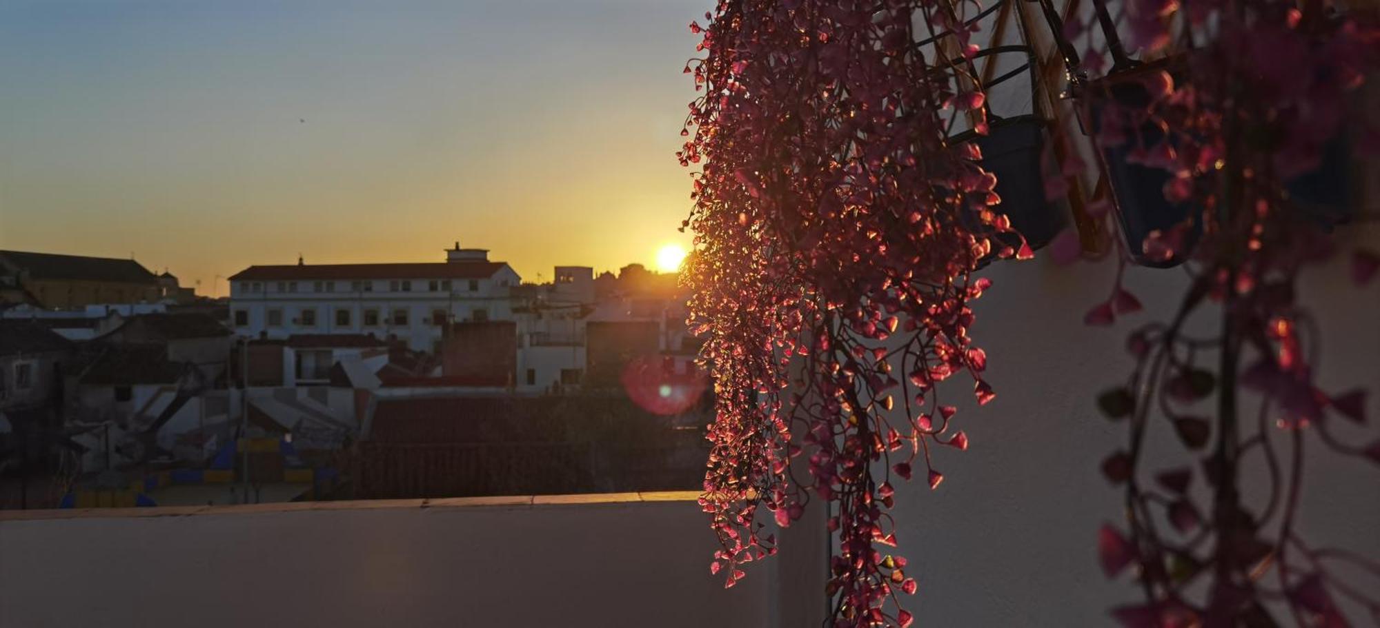 Apartmán La Luz De San Eloy Córdoba Exteriér fotografie